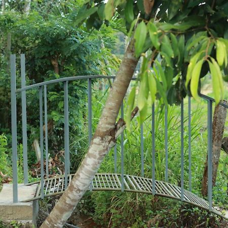 Batheri Ayurnest Pool Resort Wayanad מראה חיצוני תמונה