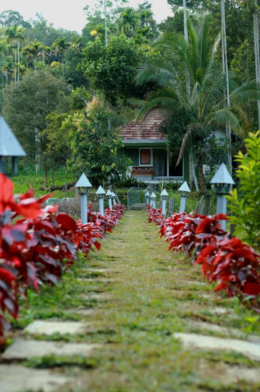 Batheri Ayurnest Pool Resort Wayanad מראה חיצוני תמונה